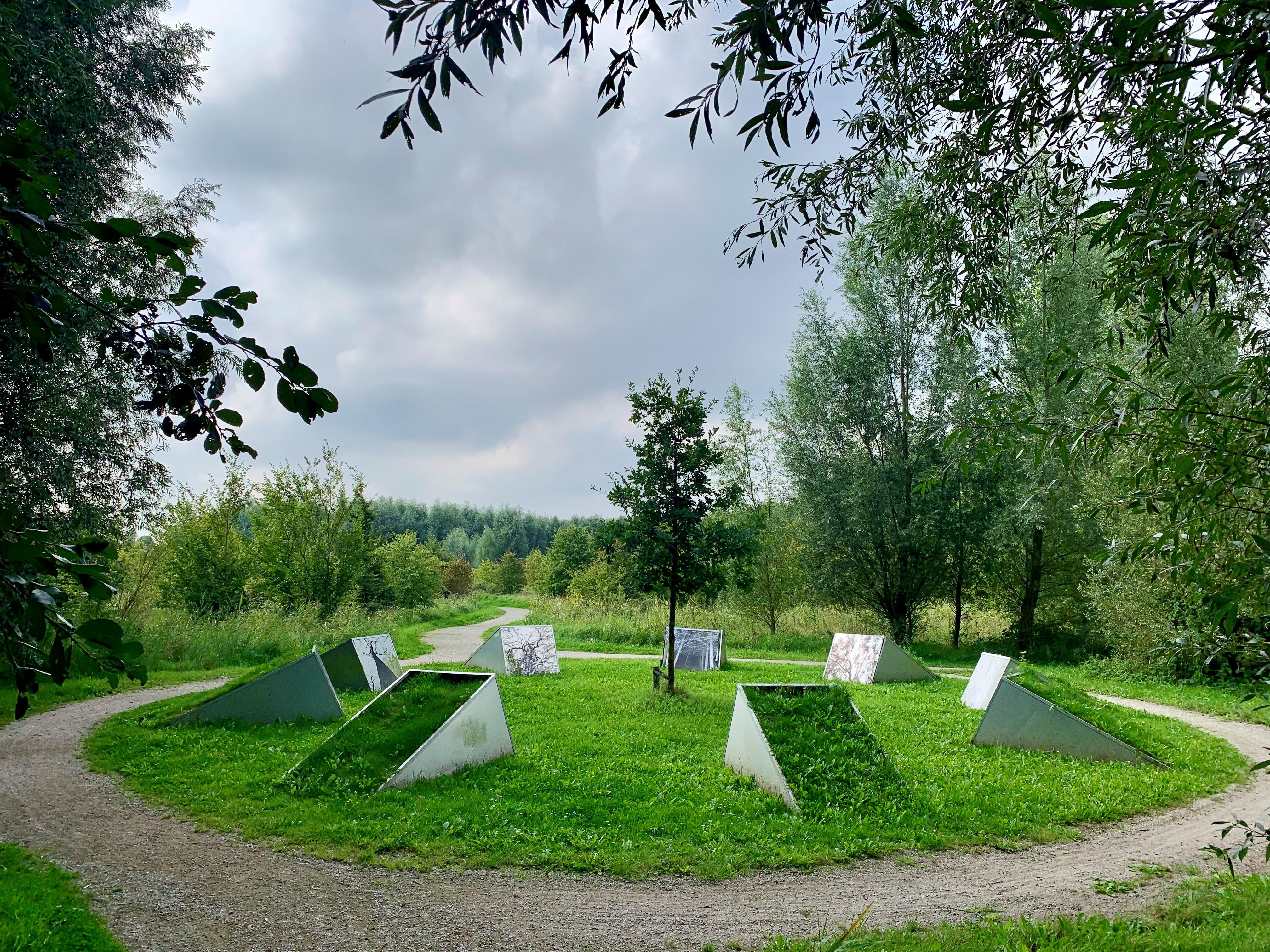 Wandelen in het Avatarbos in Benthuizen. Een ontmoeting met een heelblaadjesboorvlieg is niets om je